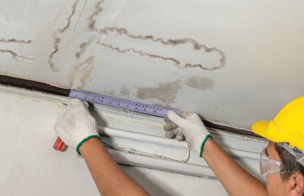 Reliable Water Damage contractor in Happy Valley, OR by Water Damage Irwin